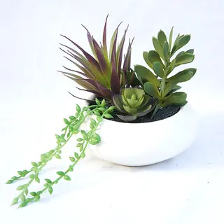 Manmade Mini Potted Succulent Plant, 15 CM
